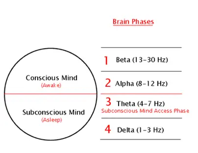 Brain Phases