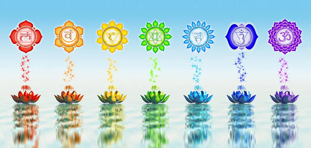 Chakra courses and fees